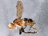  ( - BIOUG03572-E08)  @13 [ ] CreativeCommons - Attribution (2013) CBG Photography Group Centre for Biodiversity Genomics