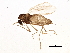  ( - BIOUG04030-E12)  @13 [ ] CreativeCommons - Attribution (2013) CBG Photography Group Centre for Biodiversity Genomics