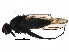  ( - BIOUG18875-E01)  @13 [ ] CreativeCommons - Attribution (2016) CBG Photography Group Centre for Biodiversity Genomics