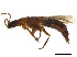  ( - BIOUG20096-B06)  @11 [ ] CreativeCommons - Attribution (2018) CBG Photography Group Centre for Biodiversity Genomics