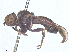 ( - BIOUG20246-E01)  @11 [ ] CreativeCommons - Attribution Share - Alike (2025) CBG Photography Group Centre for Biodiversity Genomics