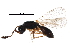  (Basalys - BIOUG20472-B04)  @14 [ ] CreativeCommons - Attribution (2016) CBG Photography Group Centre for Biodiversity Genomics
