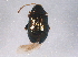  ( - BIOUG03417-D10)  @12 [ ] CreativeCommons - Attribution (2014) CBG Photography Group Centre for Biodiversity Genomics