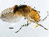  ( - BIOUG05831-G05)  @13 [ ] CreativeCommons - Attribution (2014) CBG Photography Group Centre for Biodiversity Genomics