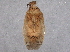  ( - BIOUG09895-G04)  @13 [ ] CreativeCommons - Attribution (2014) CBG Photography Group Centre for Biodiversity Genomics