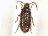  ( - BIOUG10131-C11)  @11 [ ] CreativeCommons - Attribution (2024) CBG Photography Group Centre for Biodiversity Genomics
