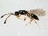  (Monelata - BIOUG10000-A02)  @14 [ ] CreativeCommons - Attribution (2014) CBG Photography Group Centre for Biodiversity Genomics