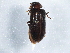  ( - BIOUG10131-B09)  @13 [ ] CreativeCommons - Attribution (2014) CBG Photography Group Centre for Biodiversity Genomics