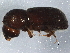  ( - BIOUG10131-D01)  @14 [ ] CreativeCommons - Attribution (2014) CBG Photography Group Centre for Biodiversity Genomics