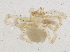  ( - BIOUG11002-F09)  @13 [ ] CreativeCommons - Attribution (2014) CBG Photography Group Centre for Biodiversity Genomics