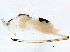  ( - BIOUG11290-A07)  @12 [ ] CreativeCommons - Attribution (2014) CBG Photography Group Centre for Biodiversity Genomics