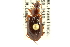  ( - CNC COLEO 00117446)  @14 [ ] CreativeCommons - Attribution (2011) CNC/CBG Photography Group Centre for Biodiversity Genomics