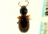  ( - CNC COLEO 00117968)  @13 [ ] CreativeCommons - Attribution (2011) CNC/CBG Photography Group Centre for Biodiversity Genomics