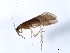  ( - 09CNCAD-0012)  @13 [ ] CreativeCommons - Attribution (2009) Unspecified Centre for Biodiversity Genomics