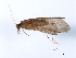  ( - 09CNCAD-0013)  @13 [ ] CreativeCommons - Attribution (2009) Unspecified Centre for Biodiversity Genomics