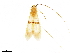  ( - CNCAD_0107)  @11 [ ] CreativeCommons - Attribution (2019) CBG Photography Group Centre for Biodiversity Genomics