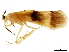  ( - CNCAD_0120)  @11 [ ] CreativeCommons - Attribution (2019) CBG Photography Group Centre for Biodiversity Genomics