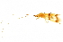  ( - CNCAD_0273)  @11 [ ] CreativeCommons - Attribution (2019) CBG Photography Group Centre for Biodiversity Genomics