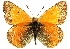  ( - BIOUG10887-D06)  @14 [ ] CreativeCommons - Attribution (2014) CBG Photography Group Centre for Biodiversity Genomics