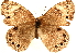 ( - BIOUG10887-F08)  @14 [ ] CreativeCommons - Attribution (2014) CBG Photography Group Centre for Biodiversity Genomics