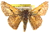  ( - BIOUG10888-A12)  @14 [ ] CreativeCommons - Attribution (2014) CBG Photography Group Centre for Biodiversity Genomics