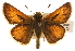  ( - BIOUG10888-G07)  @14 [ ] CreativeCommons - Attribution (2014) CBG Photography Group Centre for Biodiversity Genomics