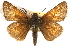  ( - BIOUG10888-H06)  @14 [ ] CreativeCommons - Attribution (2014) CBG Photography Group Centre for Biodiversity Genomics