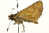  ( - BIOUG10889-B11)  @13 [ ] CreativeCommons - Attribution (2014) CBG Photography Group Centre for Biodiversity Genomics