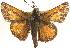  ( - BIOUG10889-B12)  @14 [ ] CreativeCommons - Attribution (2014) CBG Photography Group Centre for Biodiversity Genomics