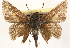  ( - BIOUG10889-E08)  @13 [ ] CreativeCommons - Attribution (2014) CBG Photography Group Centre for Biodiversity Genomics