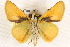  ( - BIOUG10890-F06)  @13 [ ] CreativeCommons - Attribution (2014) CBG Photography Group Centre for Biodiversity Genomics