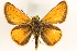 ( - BIOUG10890-F06)  @13 [ ] CreativeCommons - Attribution (2014) CBG Photography Group Centre for Biodiversity Genomics