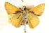  ( - BIOUG10890-F09)  @13 [ ] CreativeCommons - Attribution (2014) CBG Photography Group Centre for Biodiversity Genomics