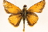  ( - BIOUG10890-F09)  @13 [ ] CreativeCommons - Attribution (2014) CBG Photography Group Centre for Biodiversity Genomics