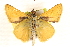  ( - BIOUG10890-F10)  @13 [ ] CreativeCommons - Attribution (2014) CBG Photography Group Centre for Biodiversity Genomics