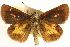  ( - BIOUG10890-G02)  @11 [ ] CreativeCommons - Attribution (2014) CBG Photography Group Centre for Biodiversity Genomics