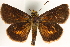  ( - BIOUG10890-G02)  @11 [ ] CreativeCommons - Attribution (2014) CBG Photography Group Centre for Biodiversity Genomics