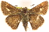  ( - BIOUG10890-H04)  @14 [ ] CreativeCommons - Attribution (2014) CBG Photography Group Centre for Biodiversity Genomics