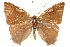  ( - BIOUG10893-D06)  @11 [ ] CreativeCommons - Attribution (2015) CBG Photography Group Centre for Biodiversity Genomics