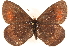  ( - BIOUG10946-B08)  @14 [ ] CreativeCommons - Attribution (2014) CBG Photography Group Centre for Biodiversity Genomics