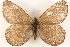  ( - BIOUG10946-E02)  @15 [ ] CreativeCommons - Attribution (2014) CBG Photography Group Centre for Biodiversity Genomics