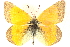  ( - BIOUG15631-A01)  @14 [ ] CreativeCommons - Attribution (2014) CBG Photography Group Centre for Biodiversity Genomics