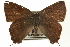  ( - CCDB-24273-B11)  @13 [ ] CreativeCommons - Attribution (2014) CBG Photography Group Centre for Biodiversity Genomics
