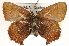  ( - CCDB-24279-A08)  @13 [ ] CreativeCommons - Attribution (2015) CBG Photography Group Centre for Biodiversity Genomics