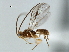  ( - CBRA0150)  @11 [ ] CreativeCommons - Attribution (2009) Unspecified Centre for Biodiversity Genomics