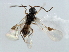  ( - CBRA0151)  @12 [ ] CreativeCommons - Attribution (2009) Unspecified Centre for Biodiversity Genomics