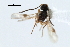  ( - CBRA0155)  @12 [ ] CreativeCommons - Attribution (2009) Unspecified Centre for Biodiversity Genomics