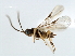  ( - CBRA0156)  @11 [ ] CreativeCommons - Attribution (2009) Unspecified Centre for Biodiversity Genomics