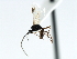  ( - CBRA0183)  @13 [ ] CreativeCommons - Attribution (2009) Unspecified Centre for Biodiversity Genomics
