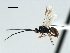  ( - CBRA0188)  @12 [ ] CreativeCommons - Attribution (2009) Unspecified Centre for Biodiversity Genomics